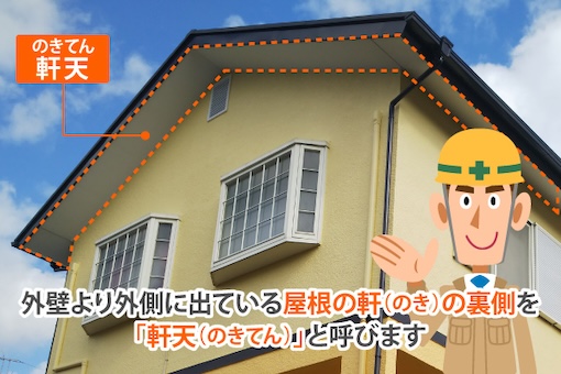 軒天　イラスト